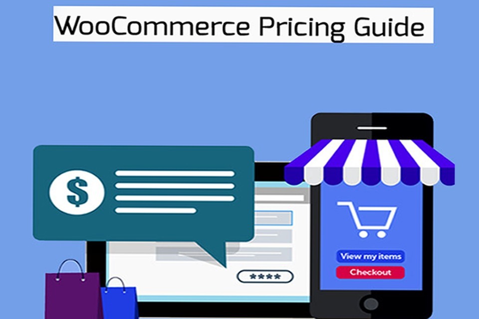 Woocommerce pricing guide
